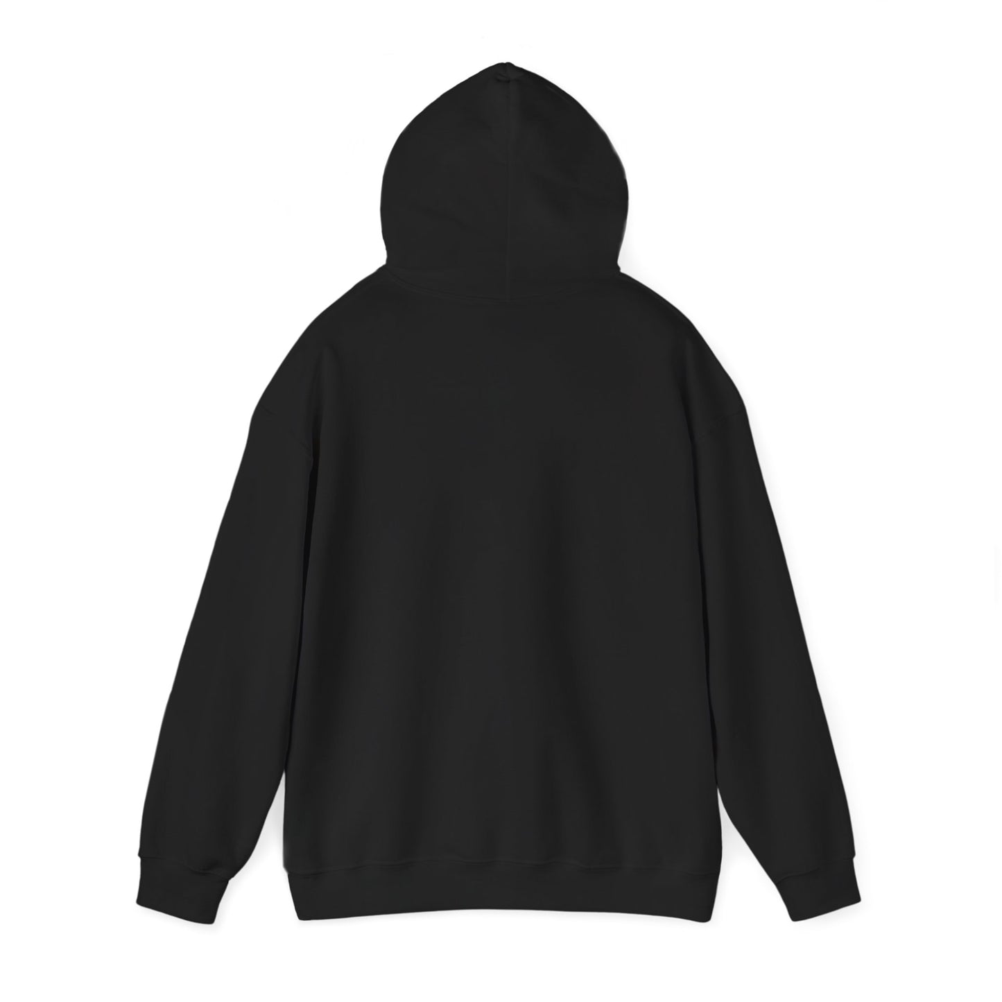 Spirit of '76 Hooded Sweatshirt