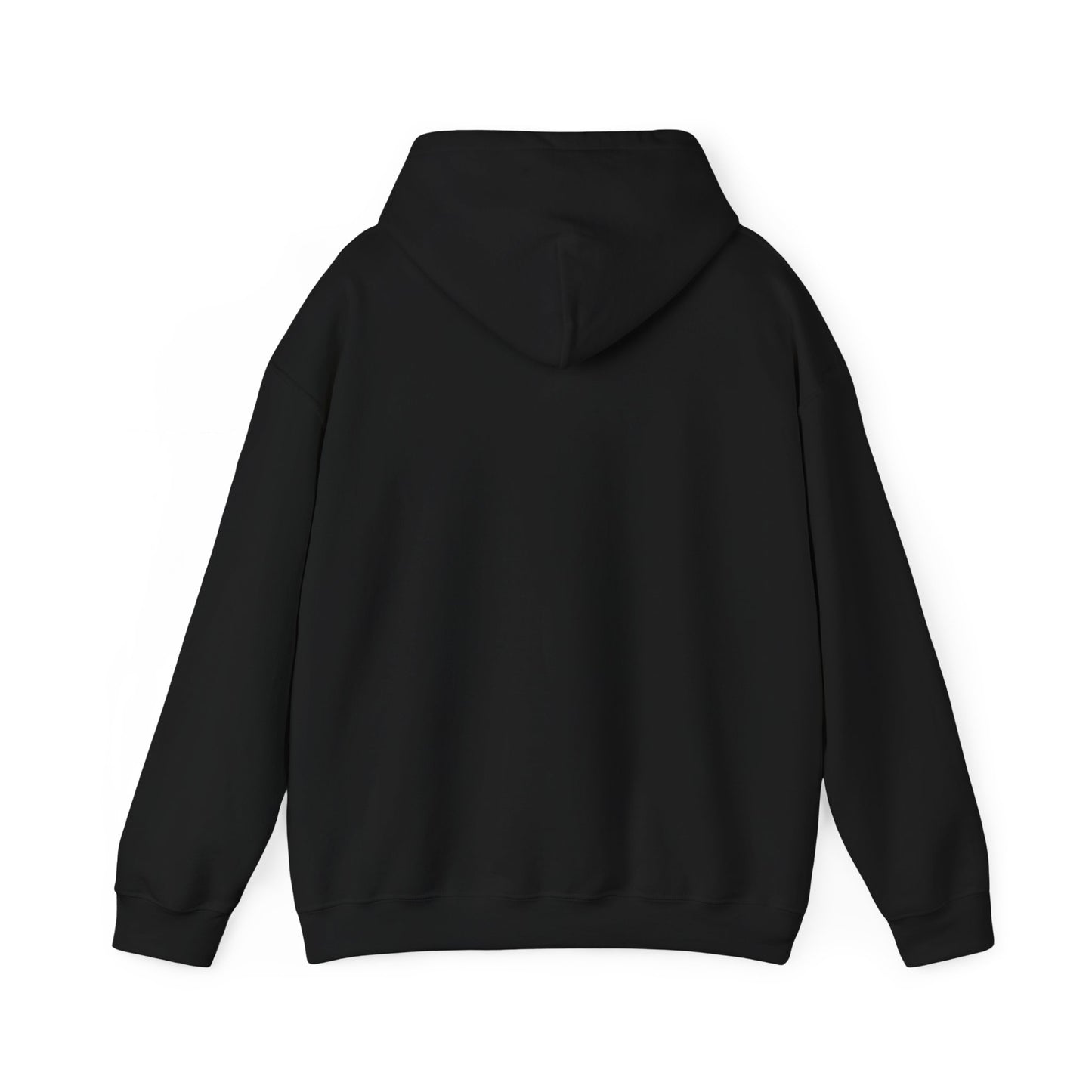 Spirit of '76 Hooded Sweatshirt